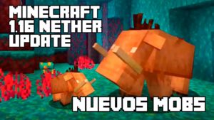 Lee más sobre el artículo Nether Update 1.16 – Mobs