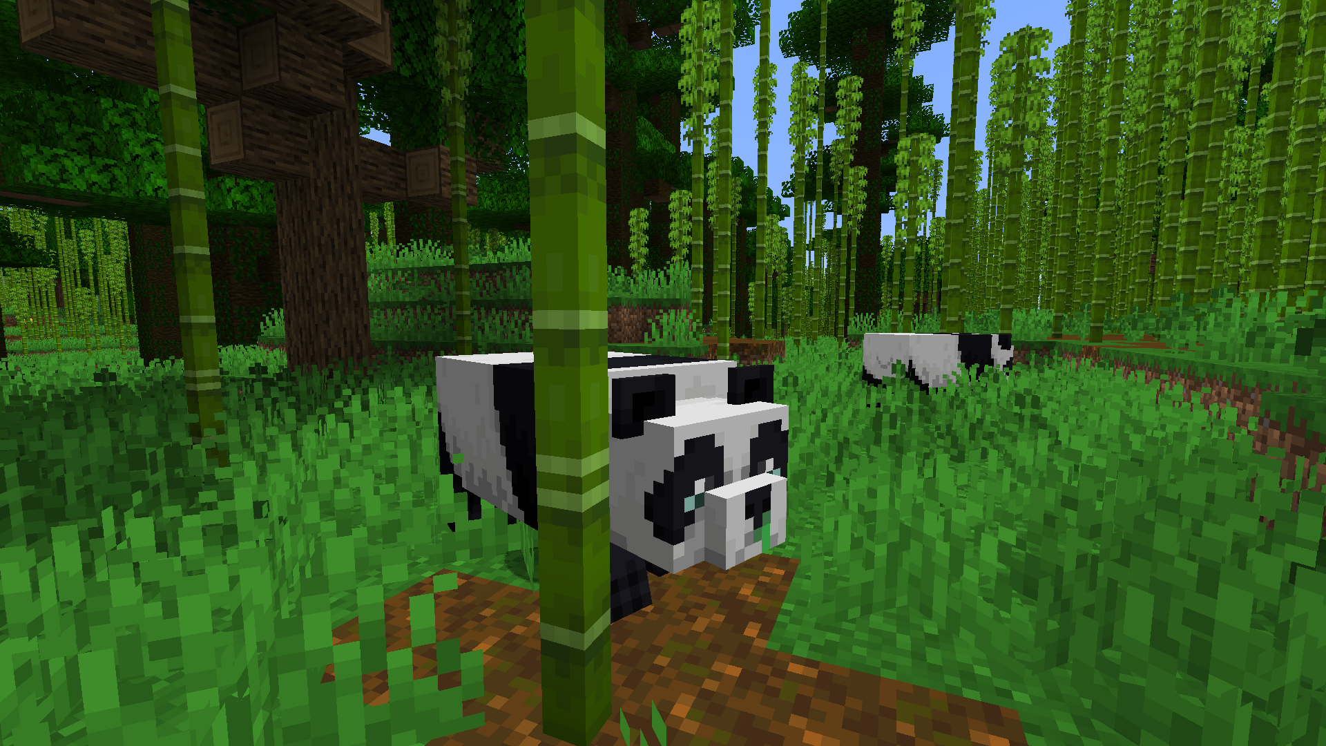 En este momento estás viendo TODO LO QUE DEBES SABER SOBRE LOS PANDAS EN MINECRAFT