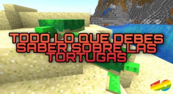 Minecraft: Todo lo que debes saber sobre las TORTUGAS 🐢