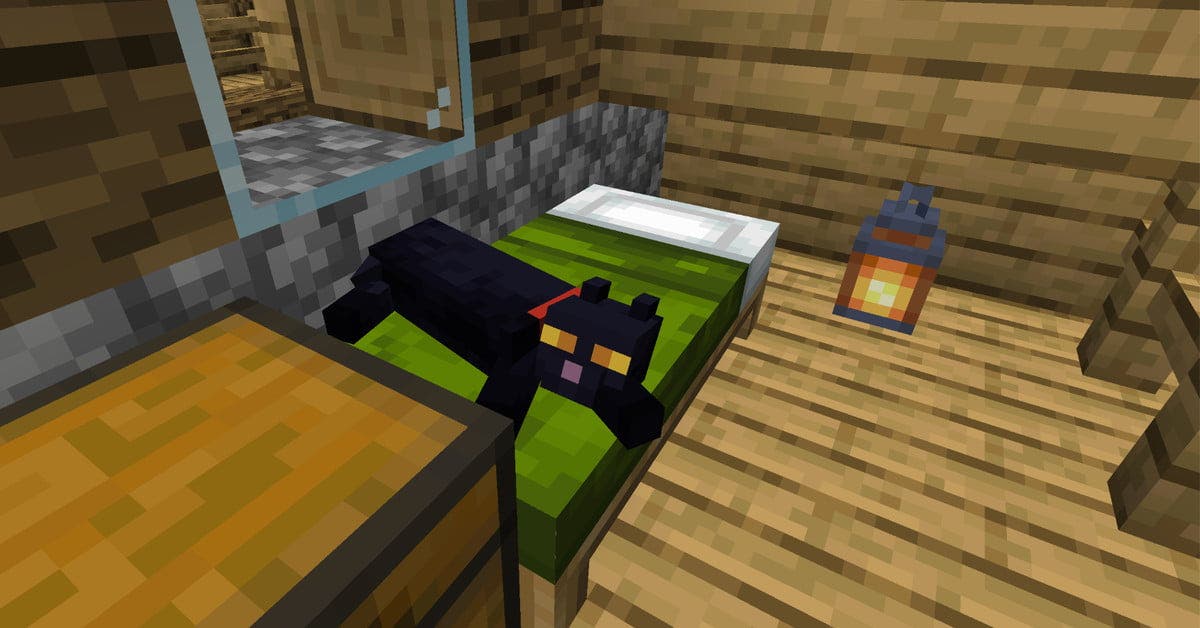 https://www.40servidoresmc.es/blog/wp-content/uploads/2021/07/como-domesticar-gatos-minecraft.jpg