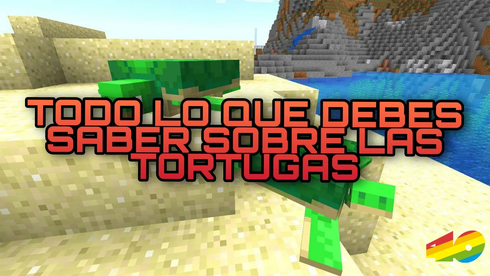 Minecraft: Todo lo que debes saber sobre las TORTUGAS 🐢