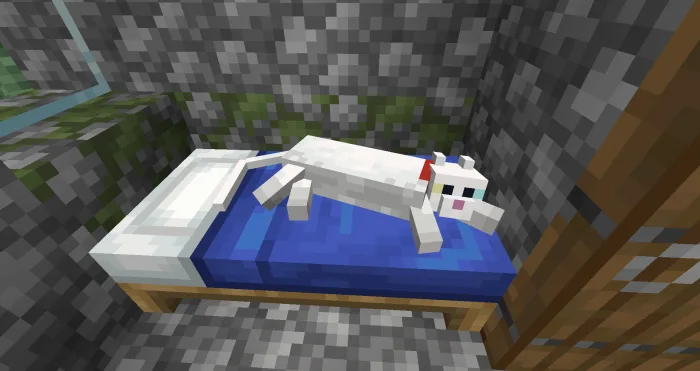 Cómo domesticar gatos en Minecraft 😺